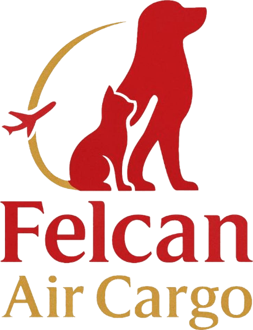 Felcan Air Cargo LLP